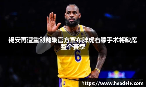 锡安再遭重创鹈鹕官方宣布胖虎右膝手术将缺席整个赛季